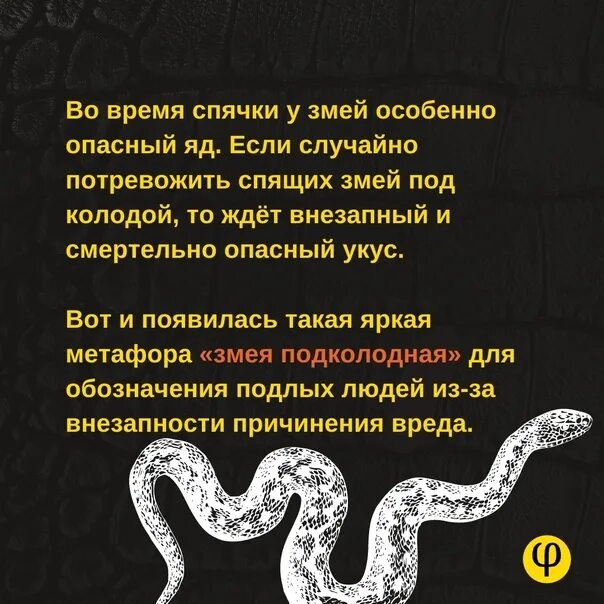 Змея подколодная значение. Змея подколодная юмор. фразеологизм про змею. змеиная фраза.