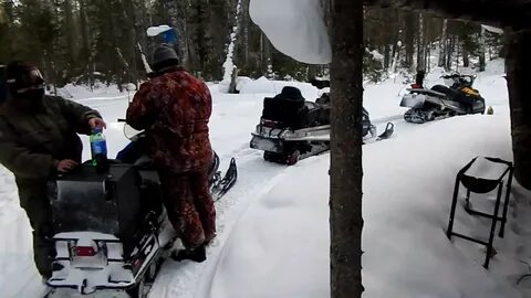 Видео тайги варяг