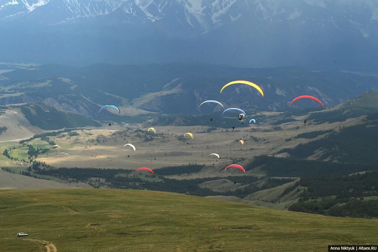 Курай (Республика Алтай). Курай парапланы. Дельтадром «курай». Парапланеризм Алтайский край.