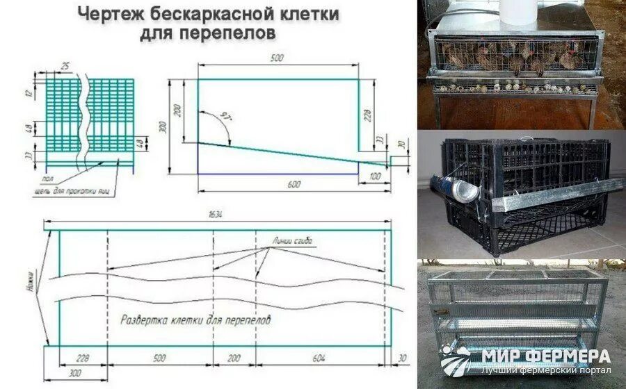 Клетка для перепелов чертежи фото. Клетка для перепелов Размеры чертеж. Чертёж клетки для перепелов с размерами своими. Клетка для перепелов 2 яруса чертеж. Клеточная батарея для перепелов чертеж.