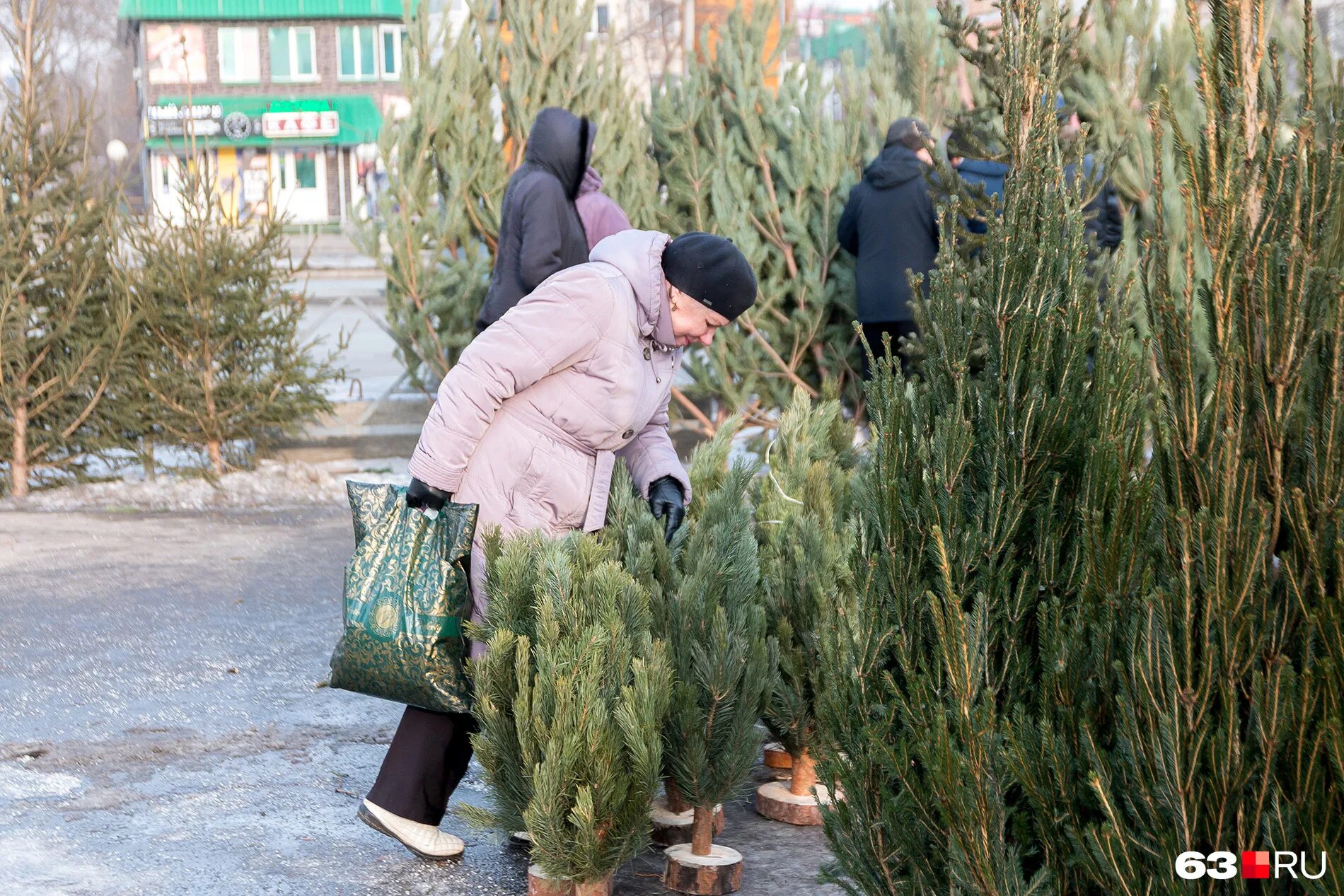 новогодняя елка в самаре. где продают елки в самаре. где продают елки в самаре. рынок елок. площадь куйбышева самара 2021.
