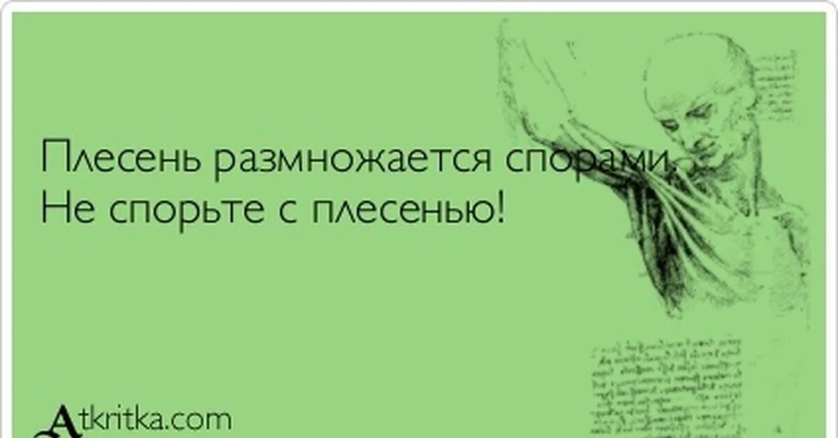 Цитаты про споры. Плесень размножается спорами не спорьте с плесенью. Плесень размножается спорами не спорьте с плесенью картинки. Цитата про спор с дураком. Глупый спорит