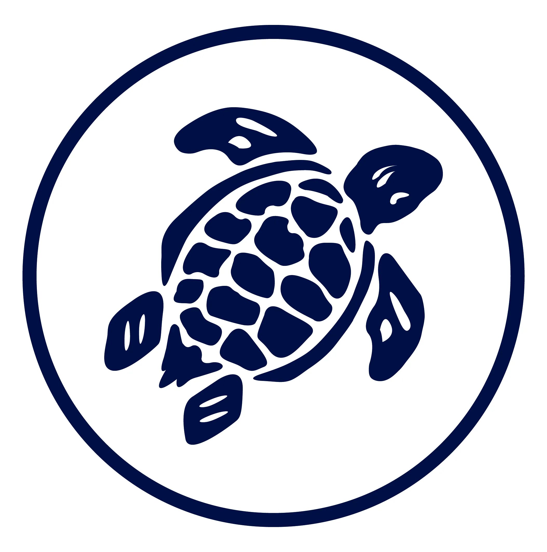 Turtle circle