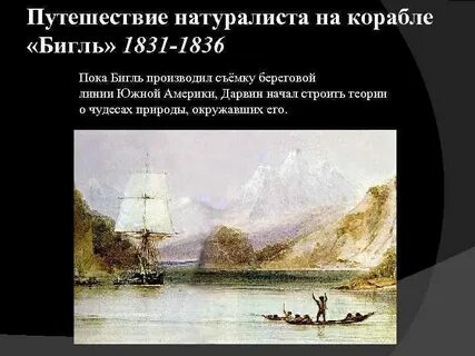 Путешествие на корабле бигль