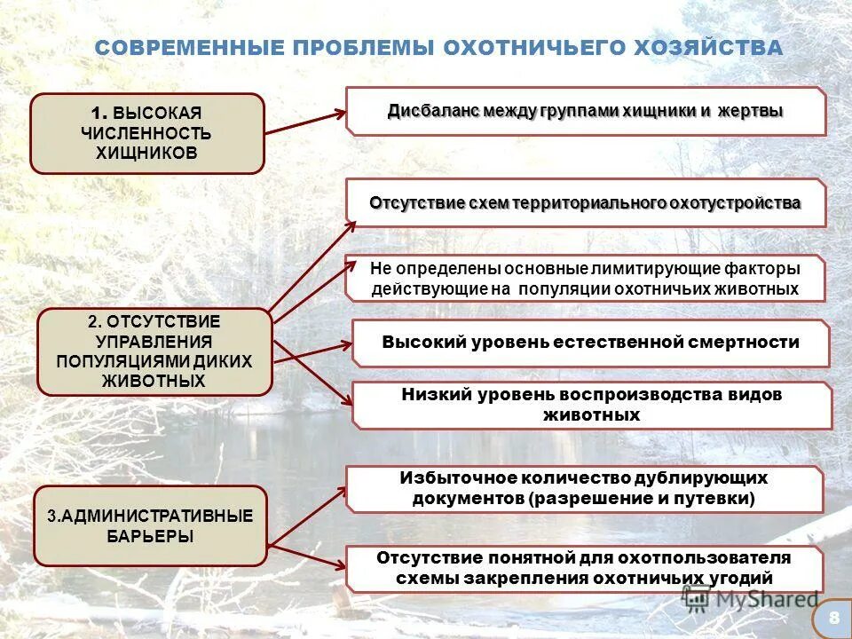 Регулирование численности охотничьих. Регулирование численности хищников. правовое регулирование охоты. регулирование численности охотничьих ресурсов. регулирование численности диких животных.