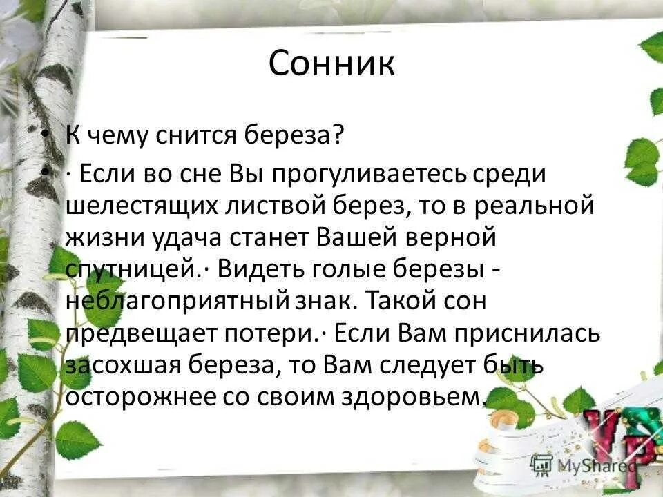 К чему снится собирать яблоки во сне. Во сне видеть берёзы. К чему снится береза. Во сне береза приснилась. К чему снится березовый сок.