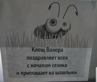 Клещ валера
