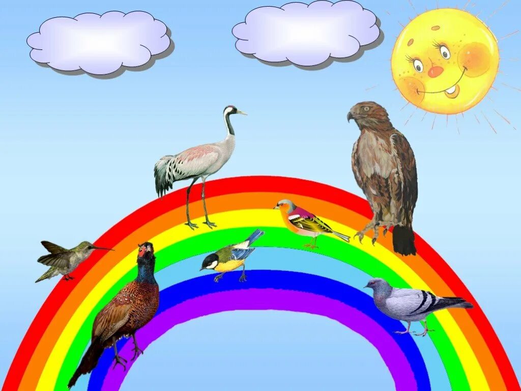 Окружающий мир тема радуга. Цвета радуги для дошкольников. Радуга цвета для детей. Семь цветов радуги. Радуга цвета радуги.