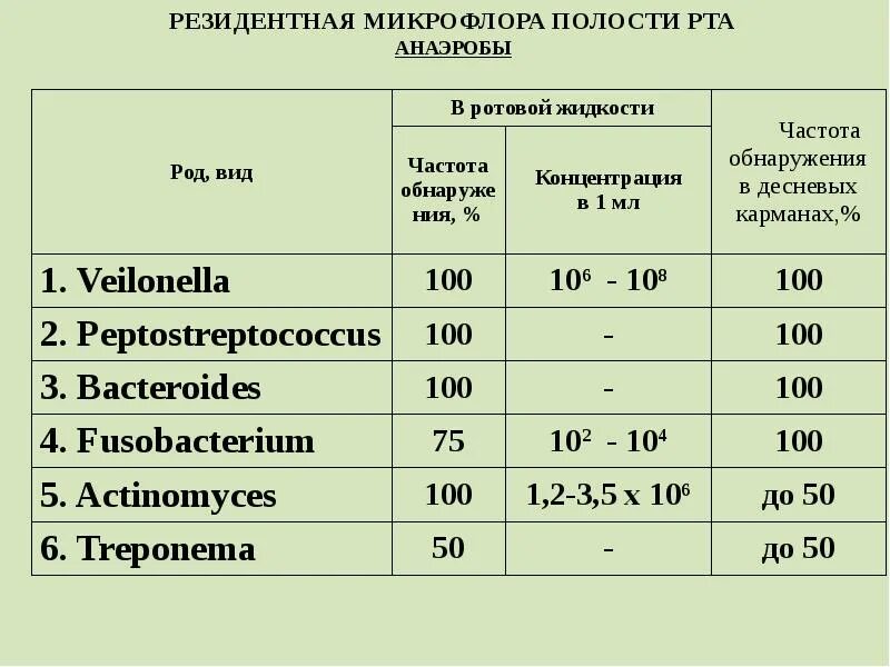 Анализы ротовой полости. Полости рта микроорганизмы нормальной микрофлоры таблица. Основные представители резидентной микрофлоры полости рта. Микроорганизмы нормальной микрофлоры полости рта. Облигатная микрофлора ротовой полости.