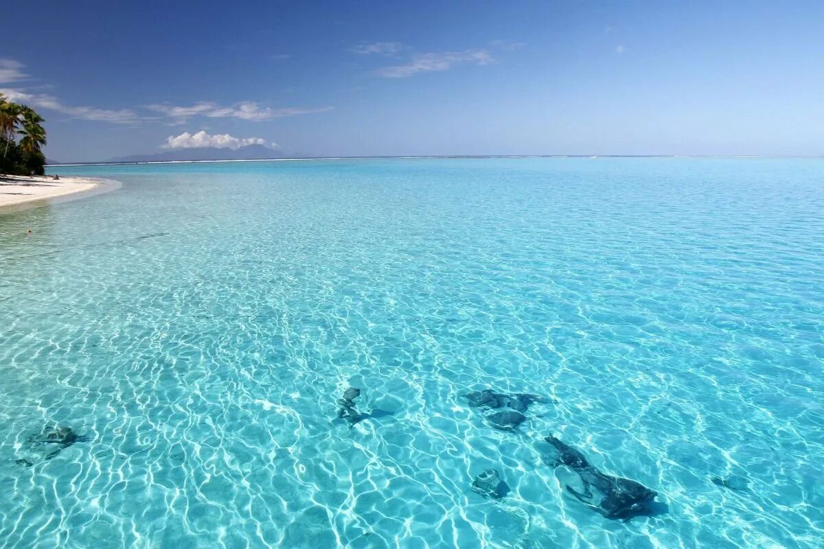 Океан голубая вода. Мальдивы голубая Лагуна. Морская Лагуна. Карибское море голубая Лагуна. Океанская Лагуна.
