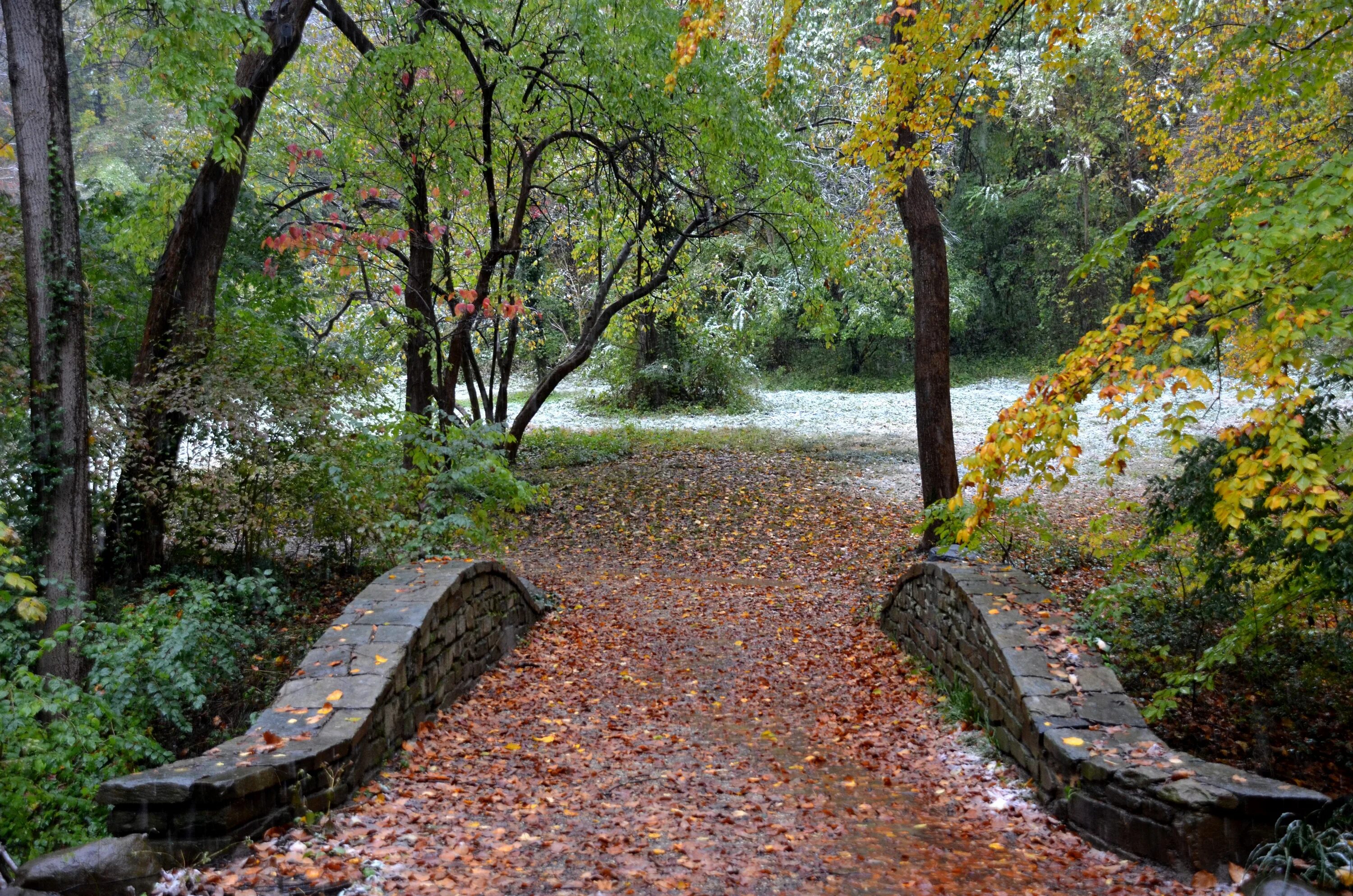 Парк рок крик в вашингтоне. Парк рок крик. Rock creek. Парк рок крик в вашингтоне. Bridge park washington.
