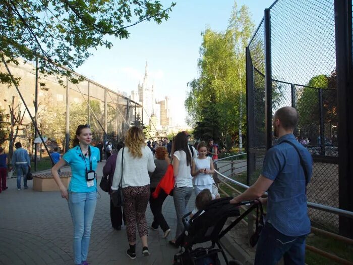 Волонтеры московского зоопарка. В зоопарке волонтерство. Волонтеры в зоопарке. Волонтеры в зоопарке москвы. Волонтеры в зоопарке москвы.