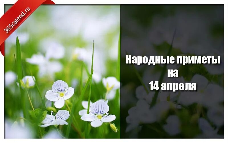 Праздники сегодня 14 апреля в россии. 14 Апреля народные приметы. 14 Апреля народный календарь. Марья Зажги снега приметы. 14 Апреля 2022 года народные приметы.