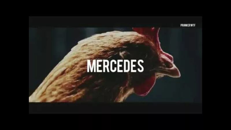 Курица из рекламы Мерседес. Реклама с петухом.