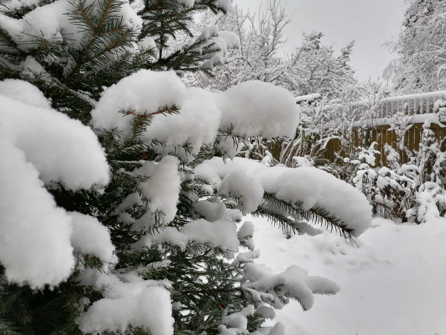 зима. метель на улице. снегопад вечером. снегопад ночью. ночью шел снег к утру посветлело.