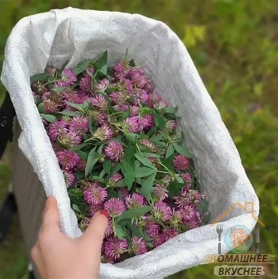 Шкаф с зеркалами Амели (Ярцево), 4 двери - купить в интернет-магазине "Мебель на