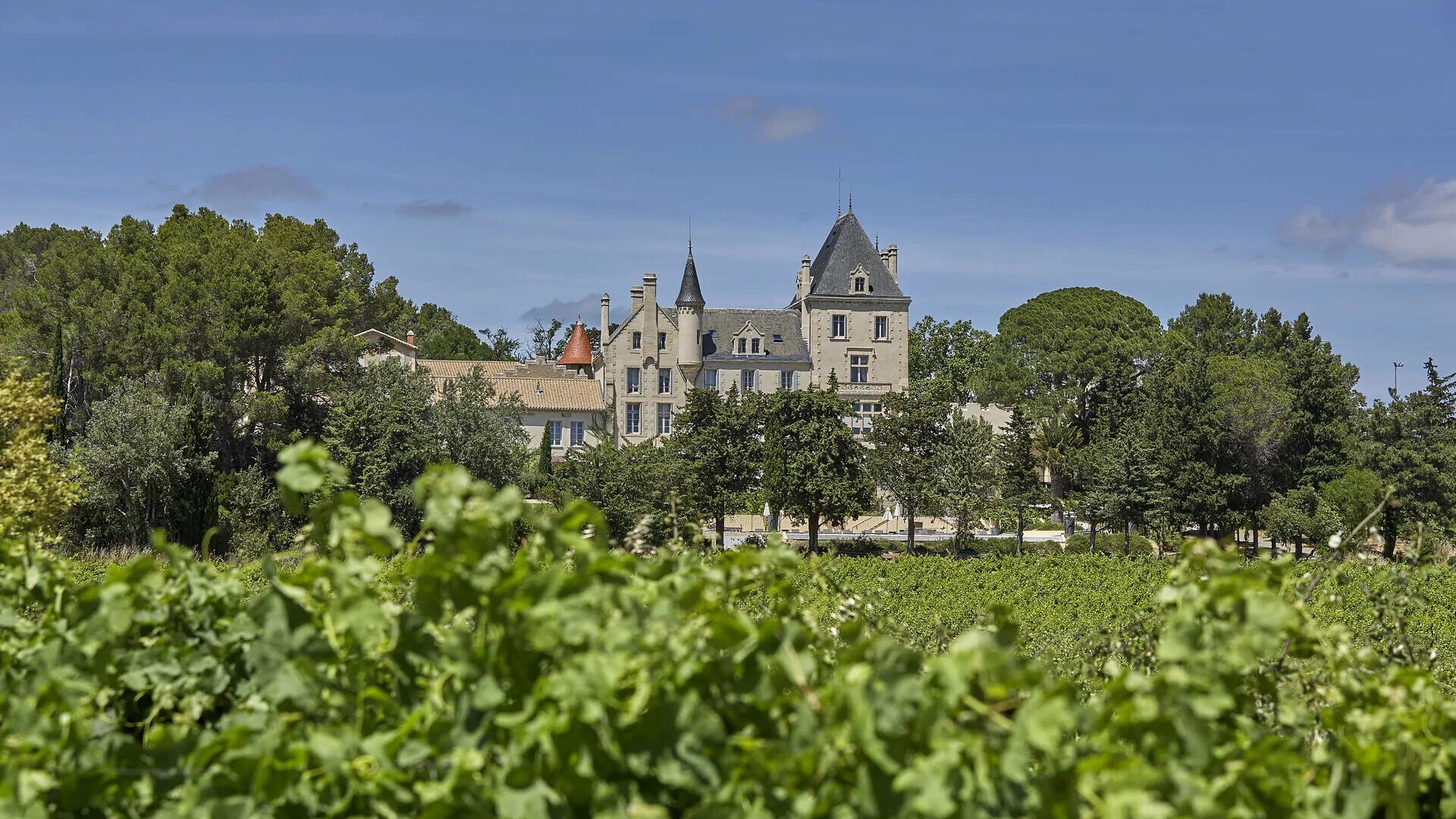 Лесное Шато. Церковь в лесу Лангедок. Club le Chateau. Шато лес monparos какой департ. Chateau le crock