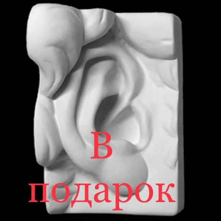 Нос с губами давида, гипс (арт. Слепок уха давида. Гипсовая голова гудона обрубовка. Голова гудона обрубовка профиль. Гипсовый глаз давида микеланджело.