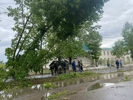 Борзя забайкальский край новости