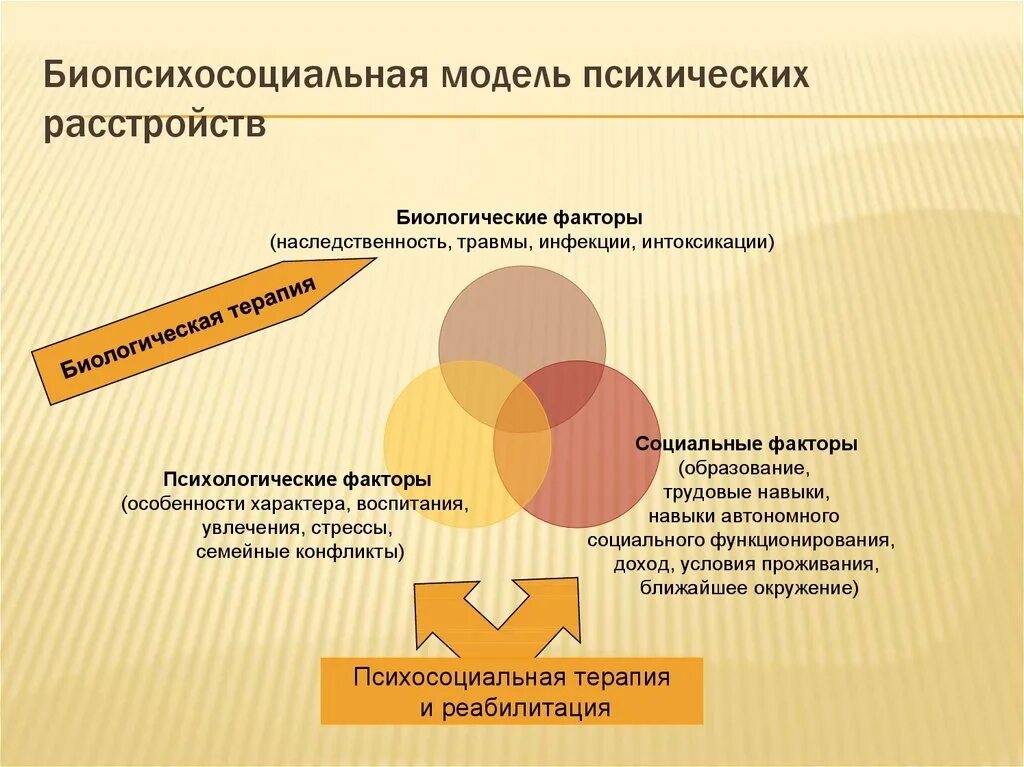 Особенности психической организации. Биопсихосоциальная модель психики. Биопсихосоциальная модель здоровья. Моделирование психических расстройств. Биопсихосоциальная модель депрессии.