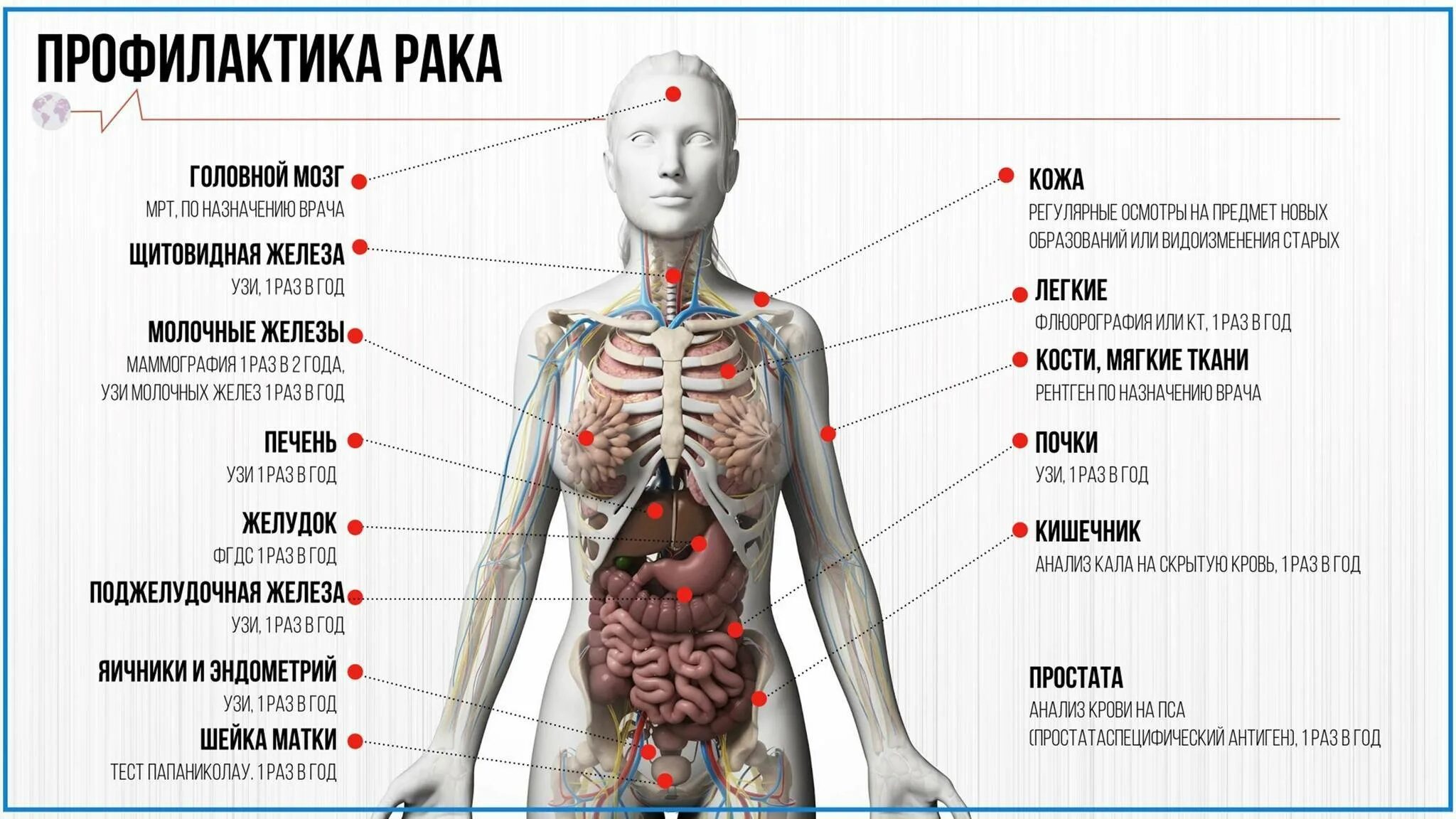 Профилактика онкозаболеваний. Профилактика онкологических заболеваний. Профилактика раковых заболеваний. Памятка онкологических заболеваний.