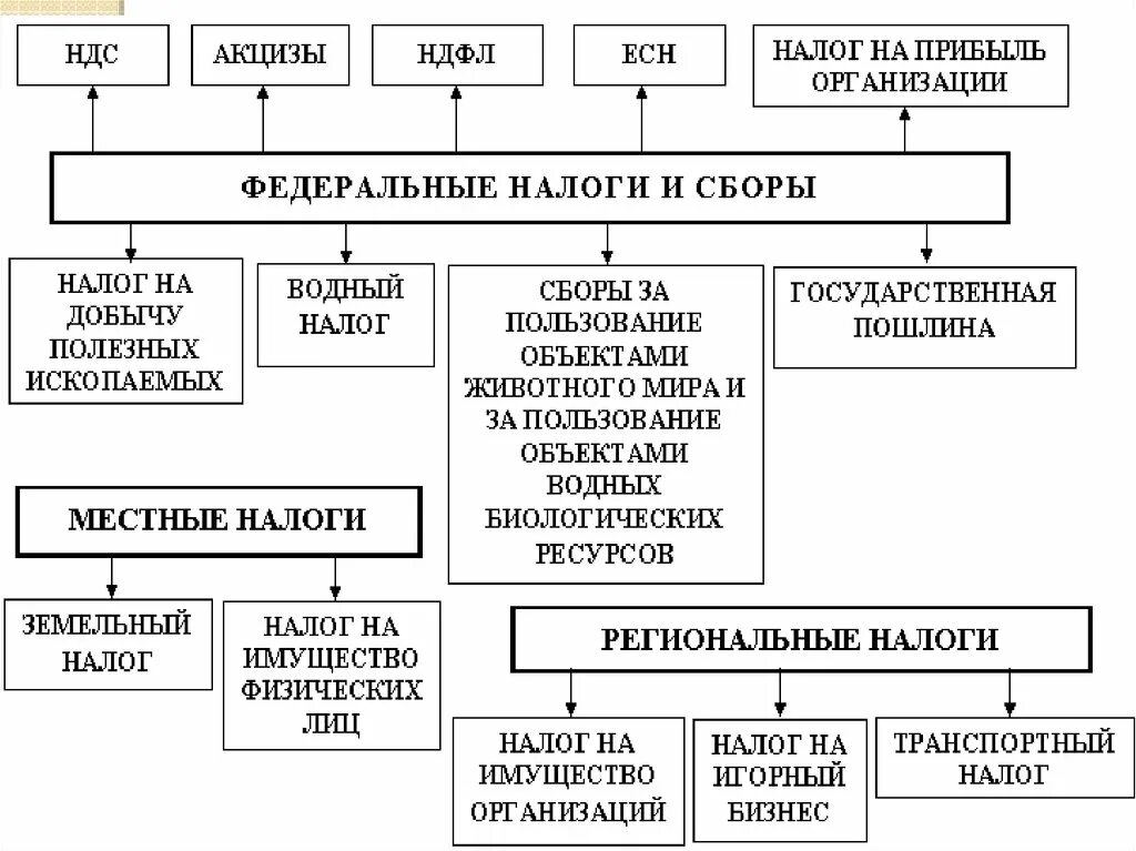 Платежи есн. Виды налогов в РФ схема. Федеральные налоги и сборы схема. Система налогов и сборов в РФ схема. Налоги уплачиваемые предприятиями схема.