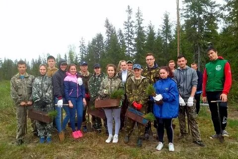 Мку лесничество