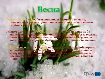 Лето осень зима стих