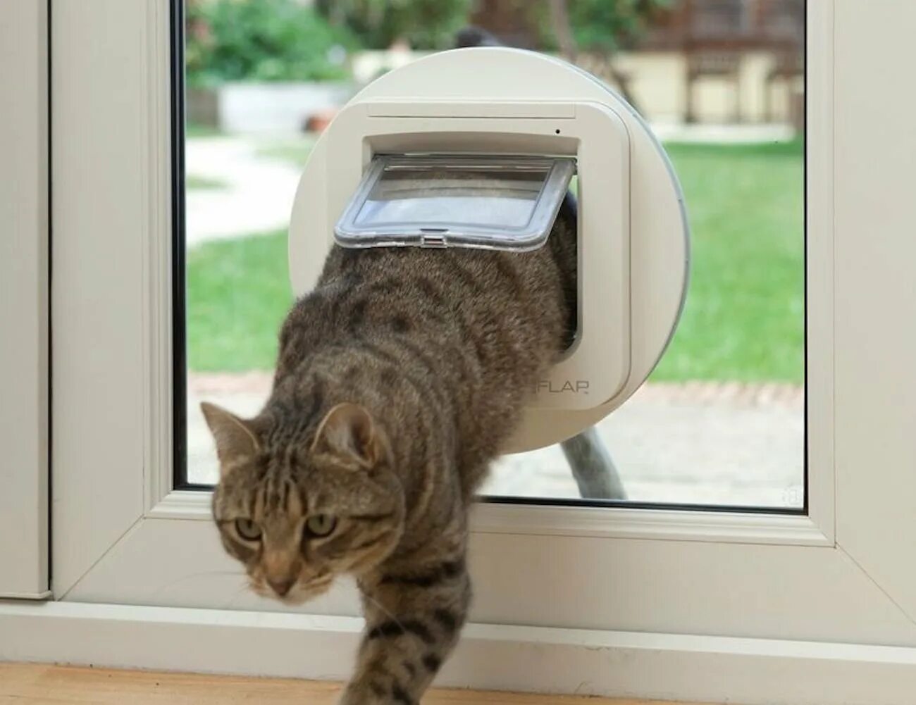 Выход кошечки. Котоход ЛАЗ для кошки. Дверца для кошек. Пластиковые окна с дверцей для кошек. Дверца для кошек в дверь.