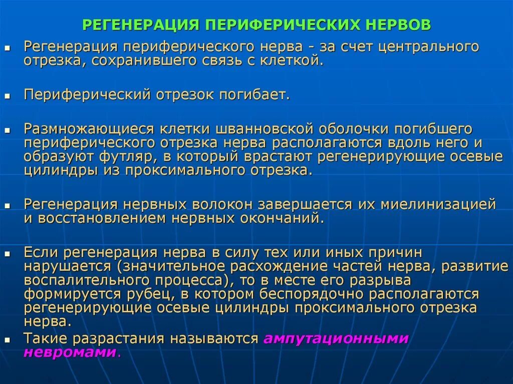 Восстановление нервов после операции. Этапы регенерации нерва. Стадии регенерации нервного волокна. Регенерация периферического нерва. Возможности регенерации нерва.