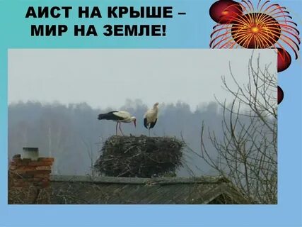 Песня люди потише аист