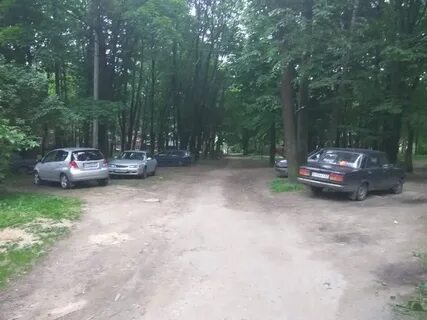 Русятка вязьма