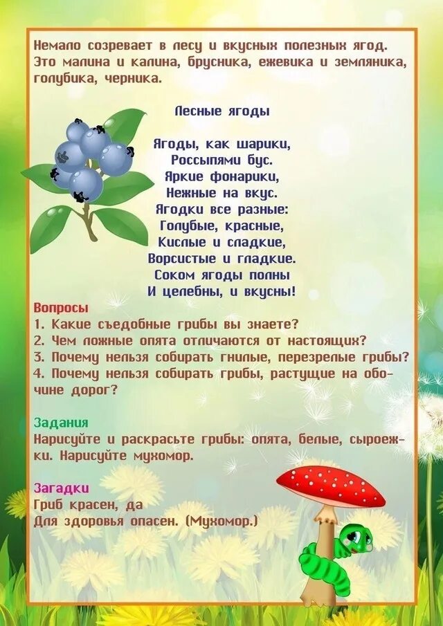 Лепка ягоды в подготовительной группе. Грибы задания для дошкольников логопедические. Лексическая тема лес грибы ягоды. План в младшей группе грибы ягоды. План в младшей группе грибы ягоды.