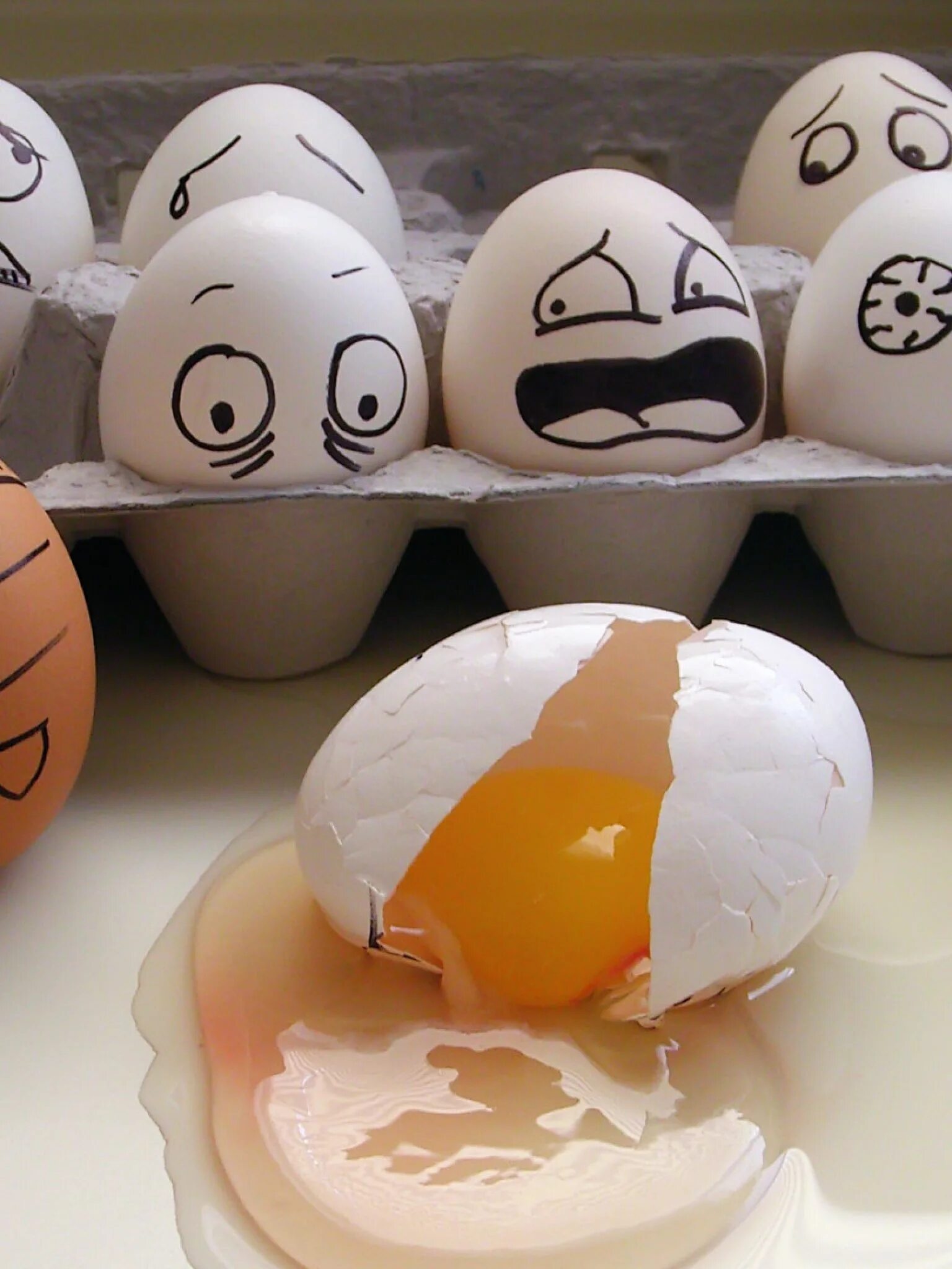 Веселые яйца. Мордочки на пасхальных яйцах. Забавные рожицы на яйцах. Яйцо Пасха.