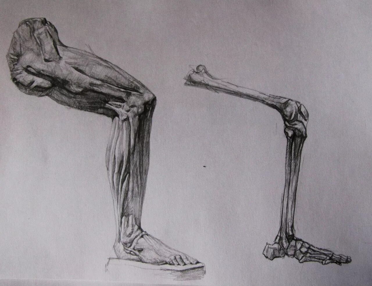 Согнутое колено. Ноги раскраска. Нога согнутая в колене. Экорше микеланджело. Готфрид баммес коленный сустав.