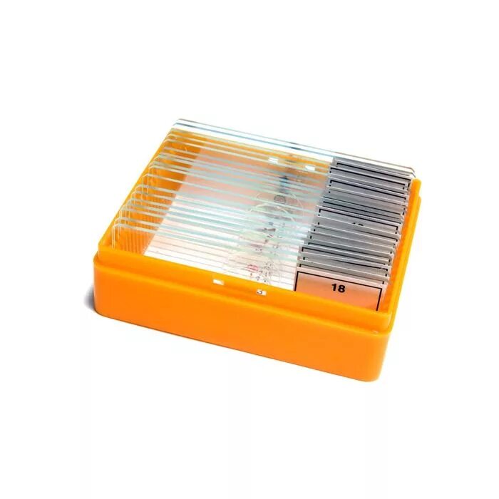 Левенгук микропрепараты. Аксессуары levenhuk g50. Набор для микроскопа левенгук 80. Микропрепараты. Набор микропрепаратов левенгук.