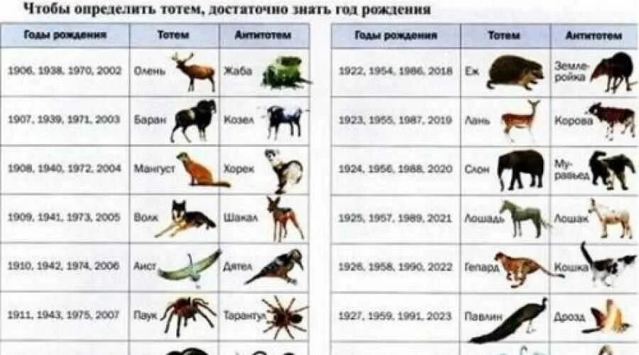 Какой зверь 2015