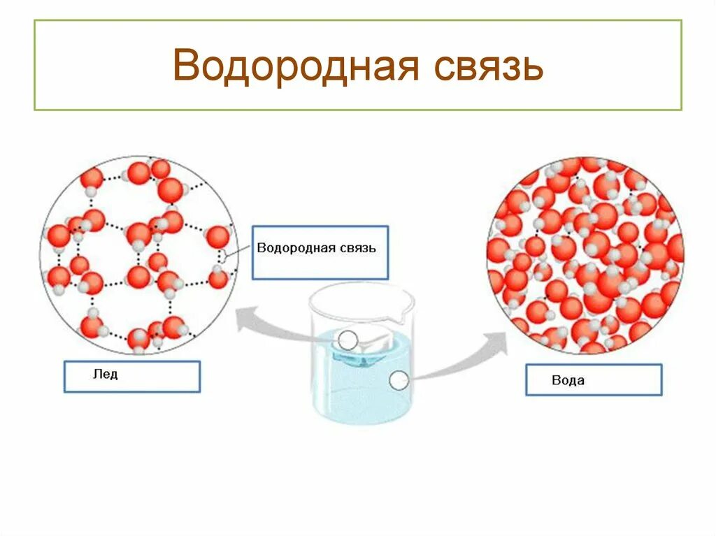 Водородные связи в воде. Водородные связи и ковалентные вода. Вода связь. Пирокатехин внутримолекулярная водородная связь.