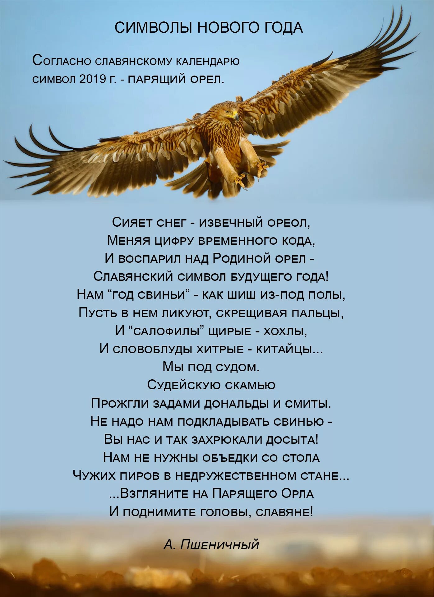 Стихотворение про орлов. Стихотворение про орла. Год парящего орла. Парящий Орел по славянскому календарю. Поздравление с орлом.