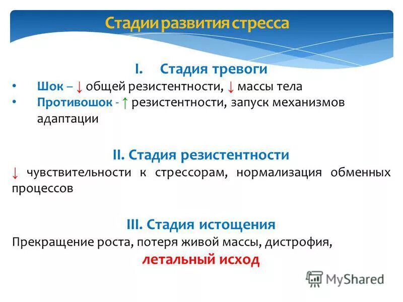 Стадия резистентности