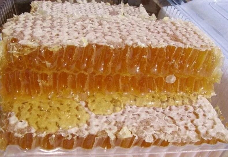 Забрус пчелиный. Мед забрус. Мёд в сотах. Соты меда.
