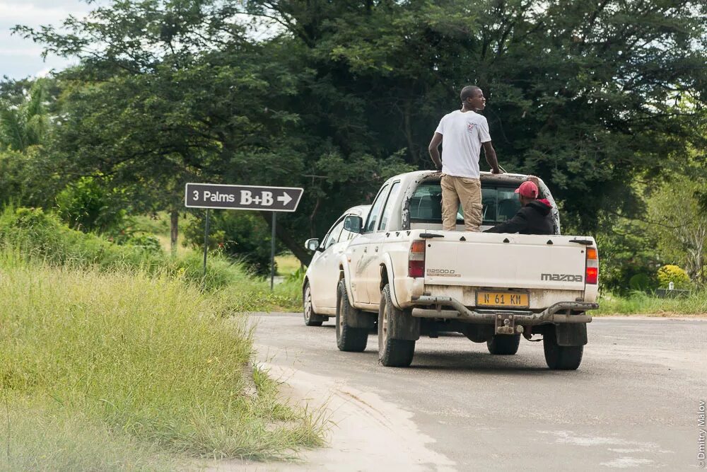 Ральф 2 ванилопа. Пиноккио дисней. Питер пэн мультфильм. Рио 2 жемчужинка. Голубая фея пиноккио 1940.