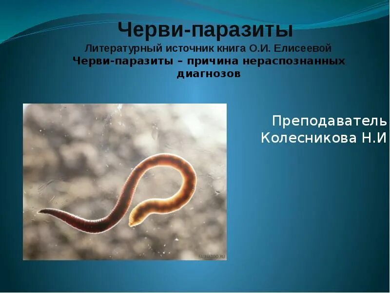 Паразитические черви имеют. Паразитические круглые черви. Круглые черви паразиты человека. Плоские черви паразиты человека.