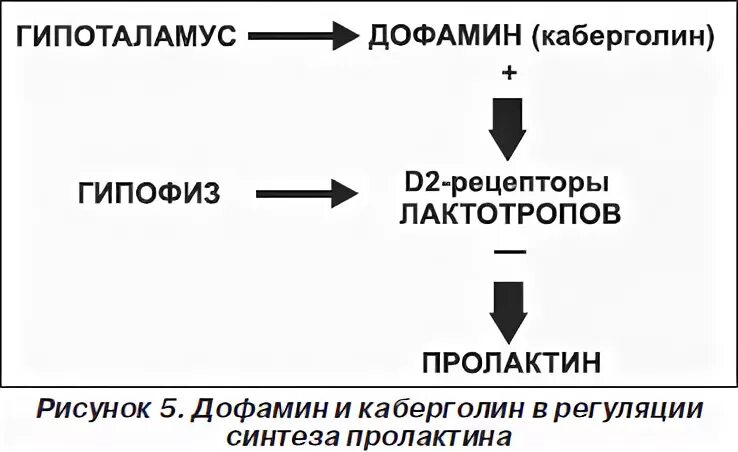 Каберголин пролактин