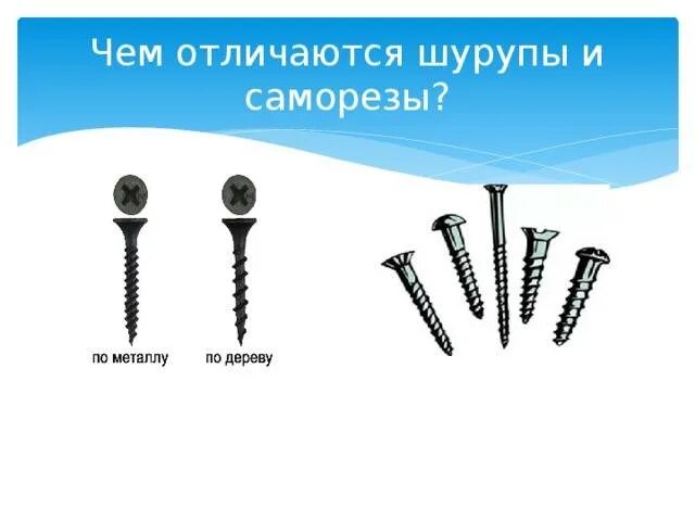 Гвозди саморезы. Чем отличаются саморезы. Шуруп болт винт саморез. Болт и саморез отличие. Шуруп и саморез отличие.