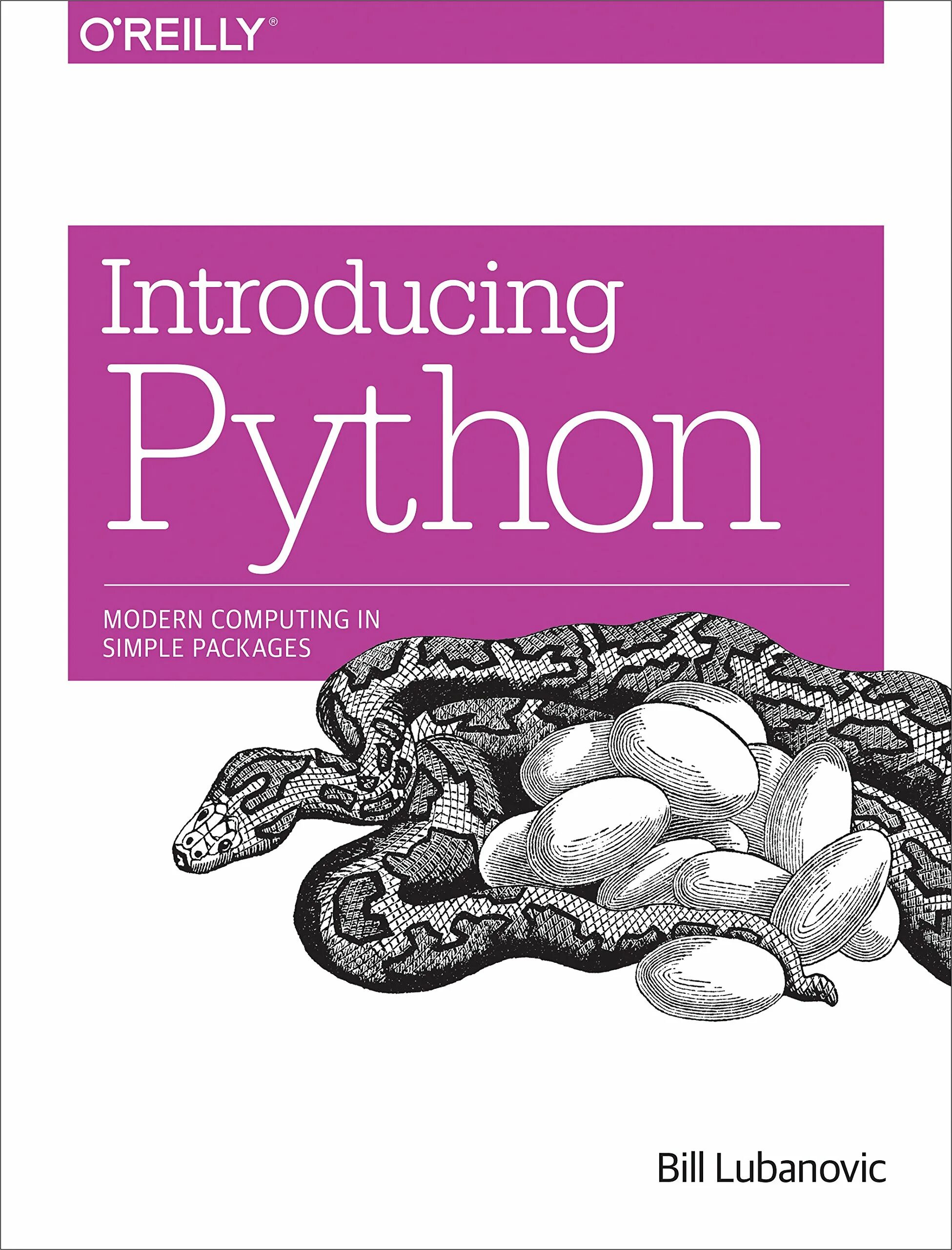 Программирование python pdf. Питон книга. учебник по python. книги по питону. основы python книга.