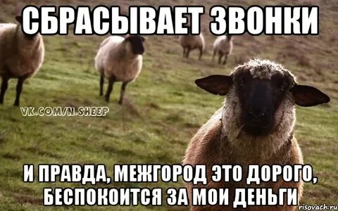Барашка зашла прикол
