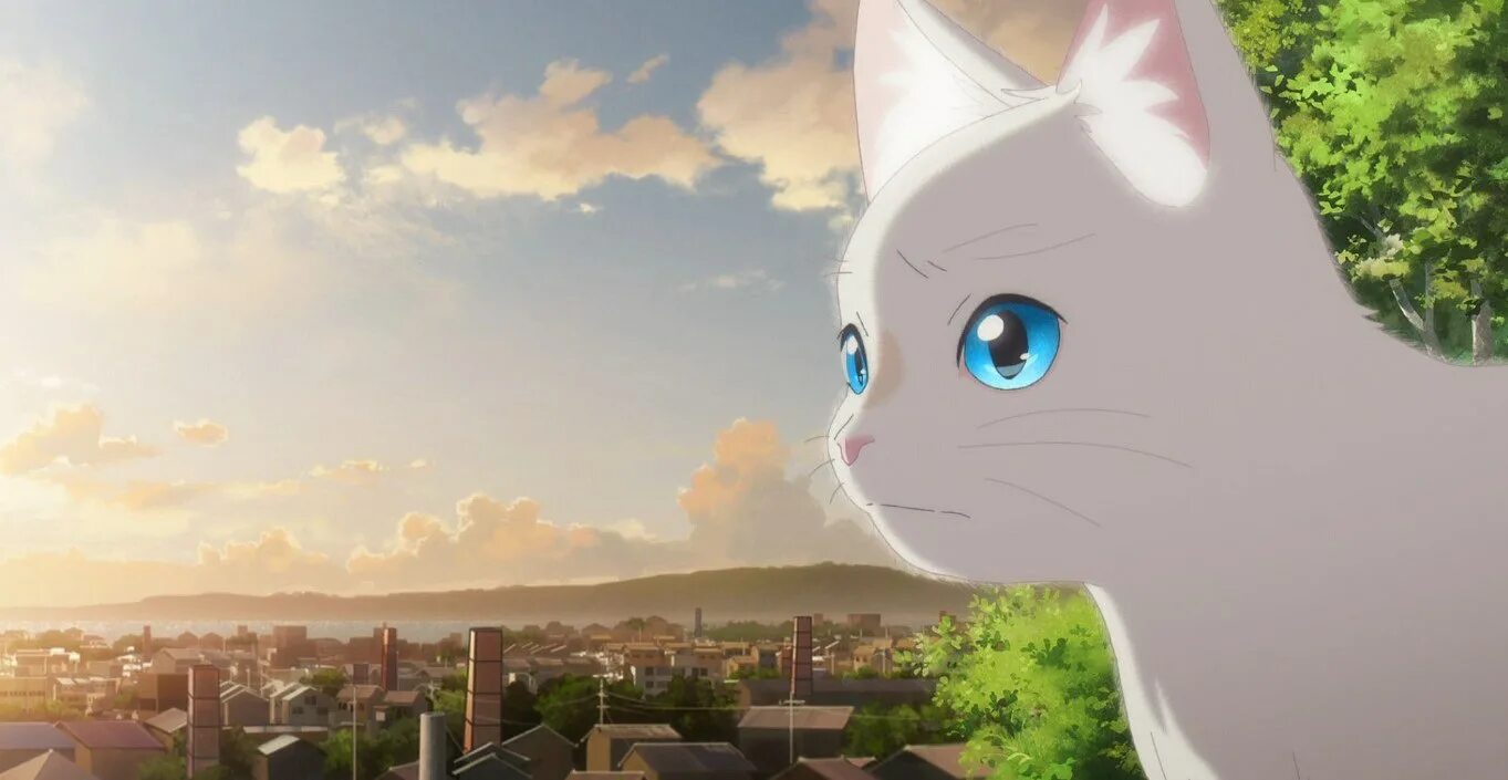 Аниме сквозь слезы я превращаюсь в кошку. Сквозь слёзы я притворяюсь кошкой / nakitai watashi wa neko wo kaburu. Аниме сквозь слёзы я притворяюсь кошкой 1. Сквозь слёзы я притворяюсь кошкой (2020). Сквозь слёзы я притворяюсь кошкой аниме.