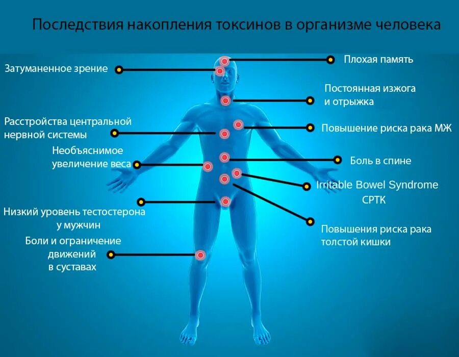 В которых любому органу будет