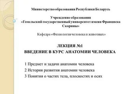 Анатомия практические работы